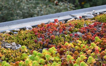 the cost of Little Stukeley green roof installation