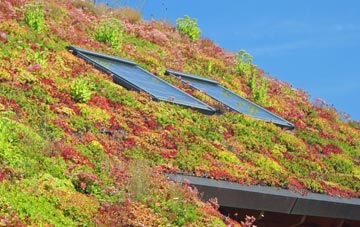 Little Stukeley living roof systems