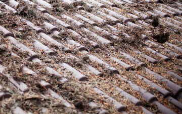 Little Stukeley roof cleaning companies